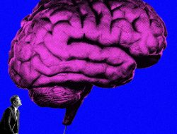 Databricks Has a Trick That Lets AI Models Improve Themselves