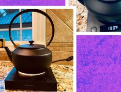Balmuda MoonKettle Review: a Luxury Electric Kettle