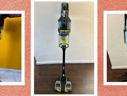 8 Best Vacuums for Pet Hair (2025), Tested and Reviewed