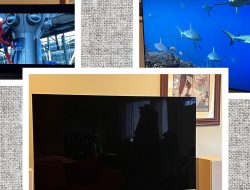 The 13 Best TVs We’ve Reviewed, Plus Buying Advice (2025)