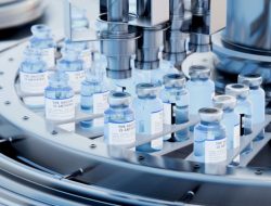Covid Vaccines Have Paved the Way for Cancer Vaccines