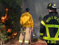Wildfires Are One of Hurricane Helene’s Lasting Legacies