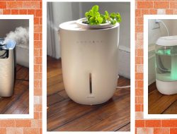 7 Best WIRED-Tested Humidifiers for Home and Away (2025)
