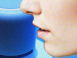 Everything You Say to Your Echo Will Soon Be Sent to Amazon, and You Can’t Opt Out