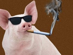 Should You Smoke (Food) Indoors?