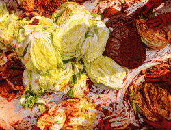 For a Master Class in Salt, Try Making Kimchi