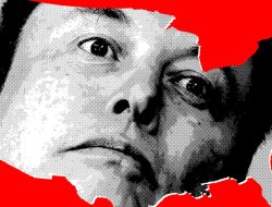 The United States of Elon Musk Inc.
