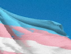 Researchers Rush to Save US Government Data on Trans Youth—Before It Disappears
