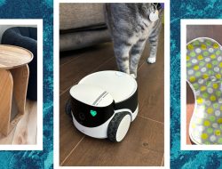 The Best Cat Toys for Your Furry Friend (2025)