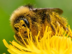 Welcome to the Worst Allergy Season Ever