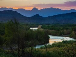 One Man’s Quest to Reforest the Rio Grande Valley