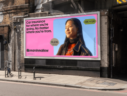 Marshmallow, the UK insurance startup for migrants, raises $90M at a $2B+ valuation
