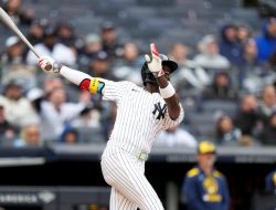 Torpedo Bats and the Physics of the Sweet Spot