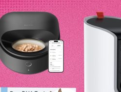The 21 Best Early Amazon Pet Day Deals (2025)
