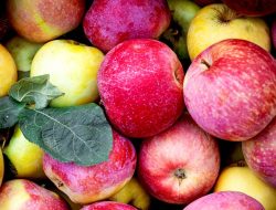 Trump’s Tariffs Are Threatening America’s Apple Juice Supply Chain
