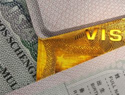 A ‘Trump Card Visa’ Is Already Showing Up in Immigration Forms