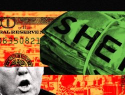 Shein Bet Big on Donald Trump. It Lost Big, Too