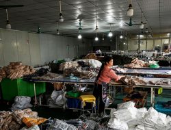 Small Packages From Shein and Temu Are Now Subject to US Tariffs. Here’s What to Know