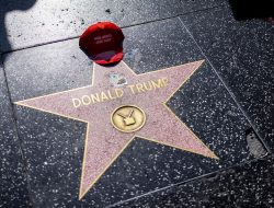 Trump’s Tariffs Won’t Make Hollywood Great Again, but There’s a Plan That Can